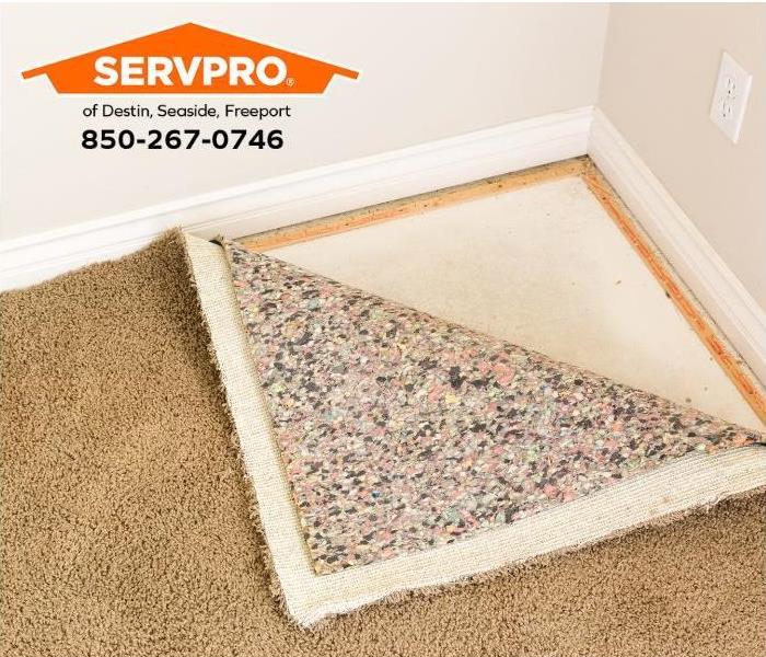 A carpet and carpet pad are pulled back to inspect for water damage.